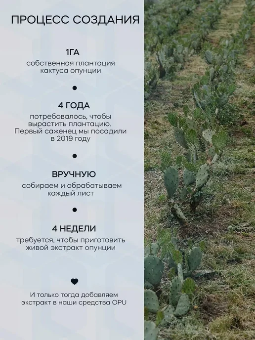 Тоник увлажняющий с опунцией, вариант, фото 4