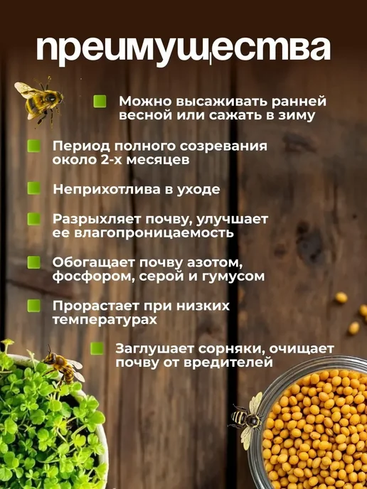 Горчица сидерат семена, вариант, фото 4