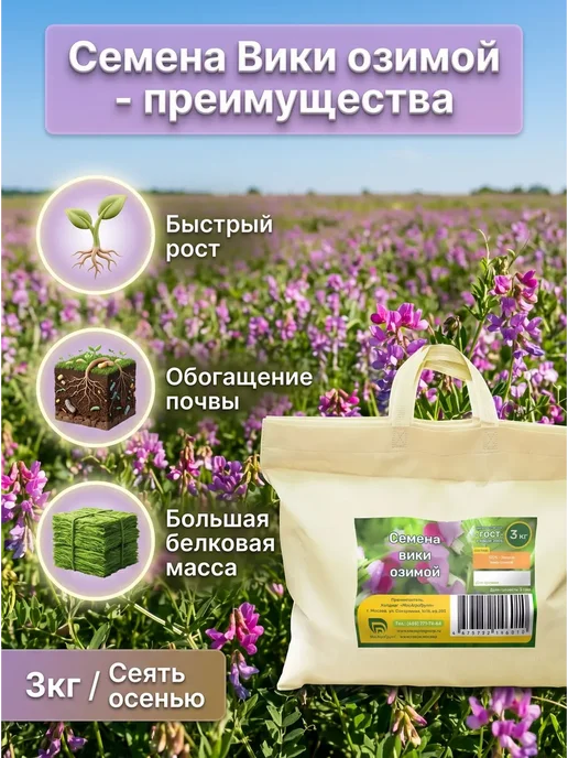 Семена Вики озимой 3 кг сидерат для посева, 3 кг, фото 3