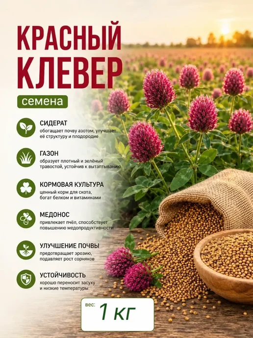 Красный клевер сидерат газон, красный