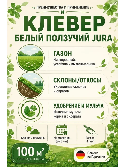 Клевер белый низкорослый ползучий семена сорт Юра 150 гр, 150 г, фото 2