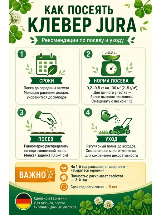 Клевер белый низкорослый ползучий семена сорт Юра 150 гр, 150 г, фото 4