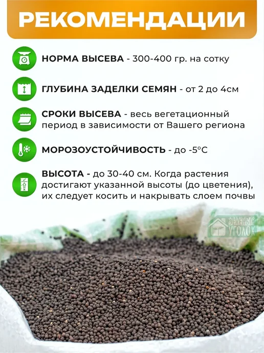 Горчица Семена 5 кг Сидераты для огорода, 5 кг, фото 5
