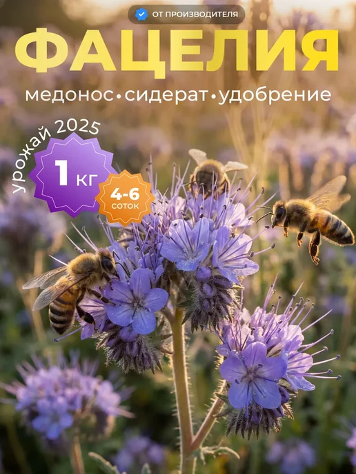 Семена фацелии сидерат, 1кг, 1 кг