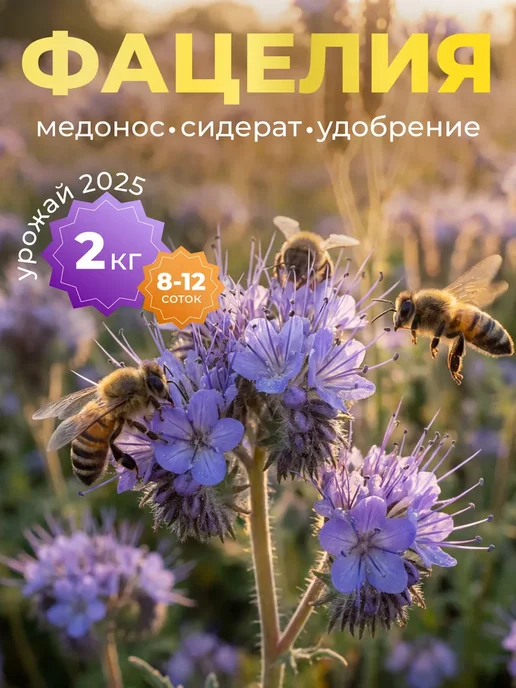 Фацелия сидерат семена, 2 кг, 2 кг