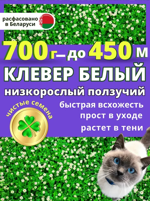 Низкорослый клевер белый ползучий семена для газона 0,7 кг, 700 г