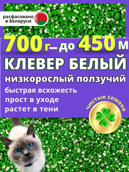 Низкорослый клевер белый ползучий семена для газона 0,7 кг, 700 г, фото 2