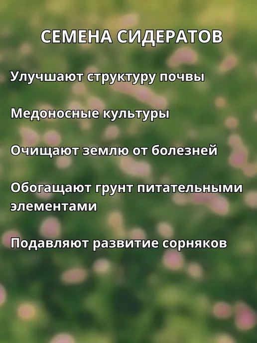 Смесь семена медоносов сидерат 500г, 500 г, фото 2