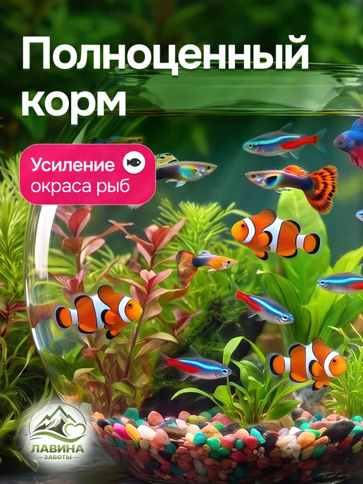 TETRA PRO Color 200 грамм Корм с концентратом для улучшения цвета, вариант, фото 3