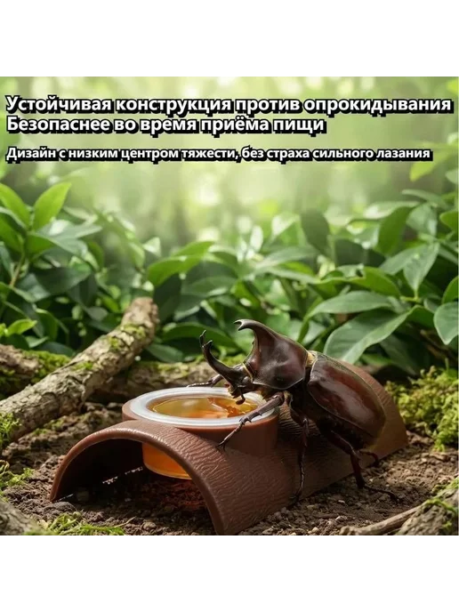 Подставка для жуков, вариант, фото 3