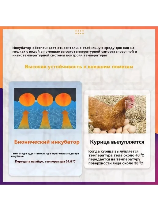Инкубатор для яиц, 10 шт, питание от сети, 10 шт, фото 3