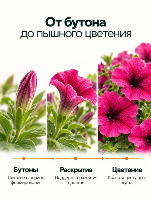 Органическое удобрение для петуний, вариант, фото 5