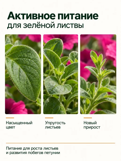 Органическое удобрение для петуний, вариант, фото 6