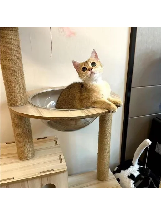 Когтеточка цилиндр для кошки, вариант, фото 7