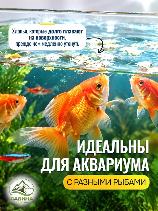 TETRA Min Flakes 100 грамм Корм в виде смеси высококачественных хл…, вариант, фото 3