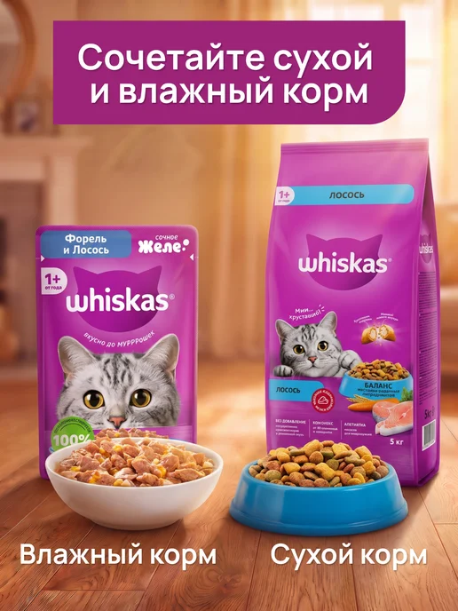 WHISKAS Влажный корм для кошек 28 шт форель и лосось в желе, 28 шт, фото 6