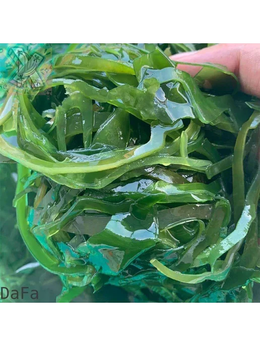 X-ing-DaFa-Круглый корж из ламинарии Комбу Шелковый для сала, вариант, фото 4