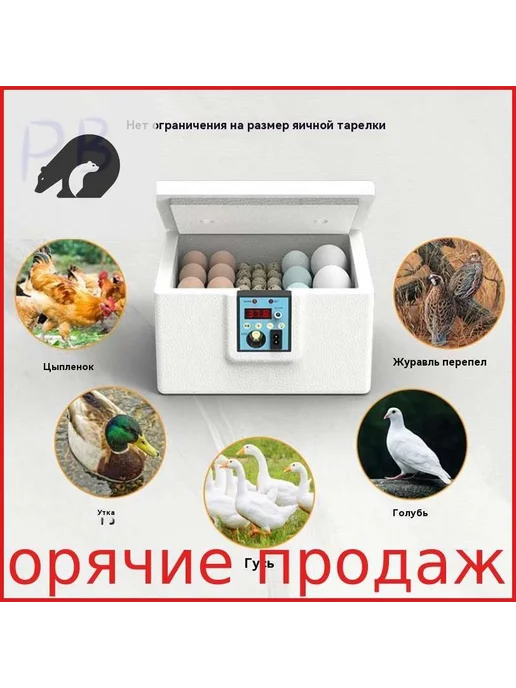 Инкубатор для яиц, 10 шт, 10 шт, фото 4