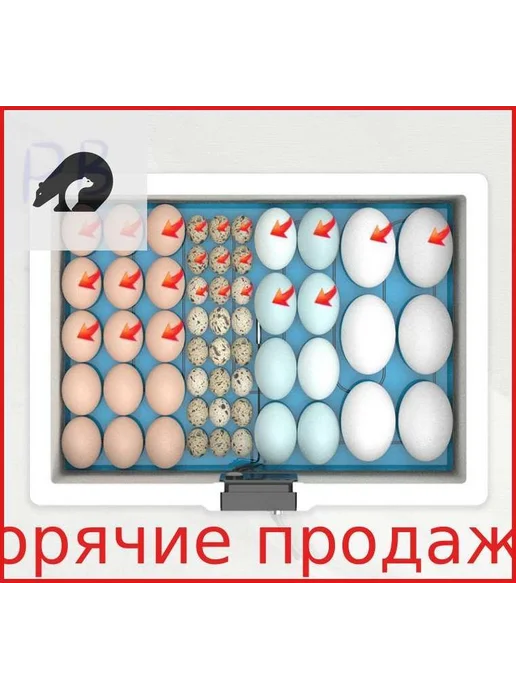 Инкубатор для яиц, 10 шт, 10 шт, фото 7