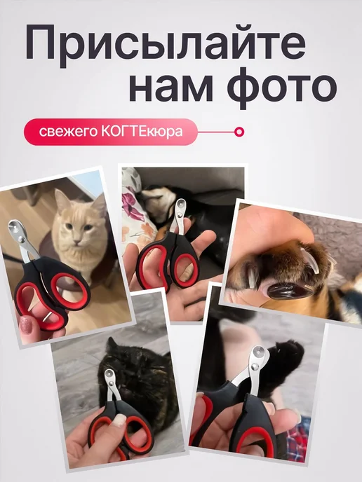 Когтерезка для кошек с ограничителем, ножницы для когтей, вариант, фото 6