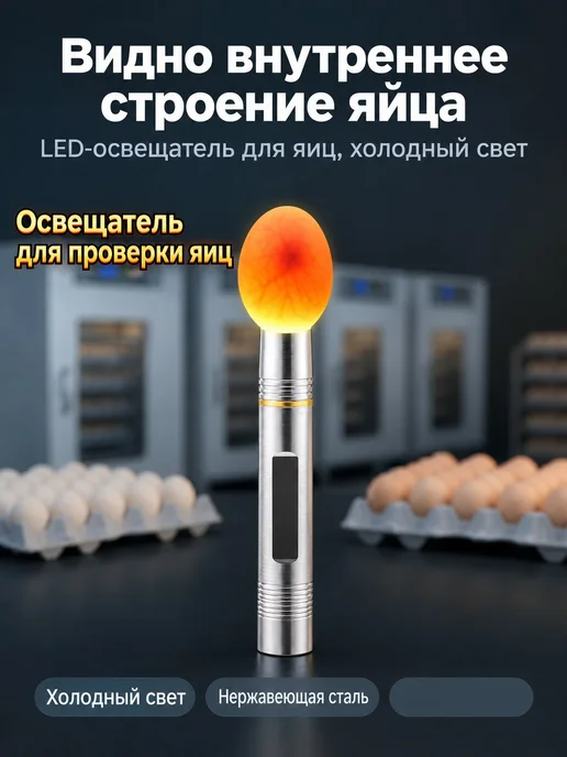 Овоскоп инкубационный LED портативный, вариант