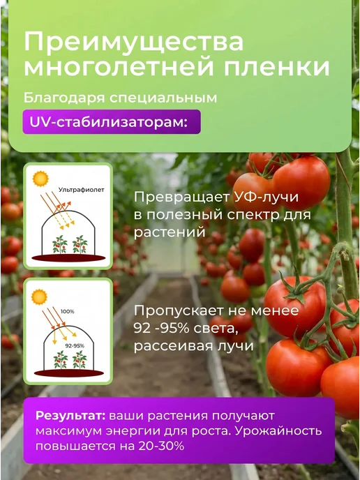 Пленка для теплиц и парников многолетняя 200 мкм 3*8, 3x5 м, фото 2