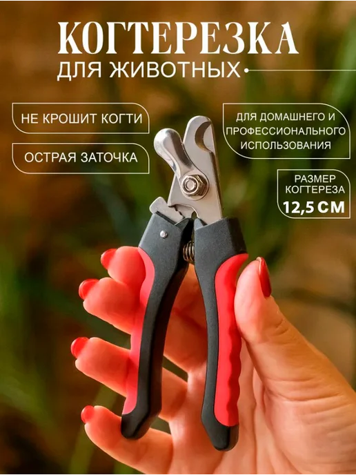 Когтерезка для кошек с ограничителем, ножницы для когтей, вариант