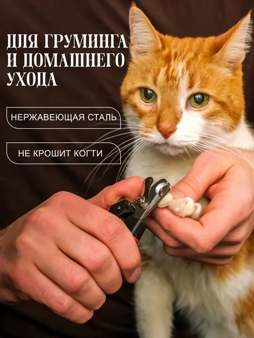 Когтерезка для кошек с ограничителем, ножницы для когтей, вариант, фото 2