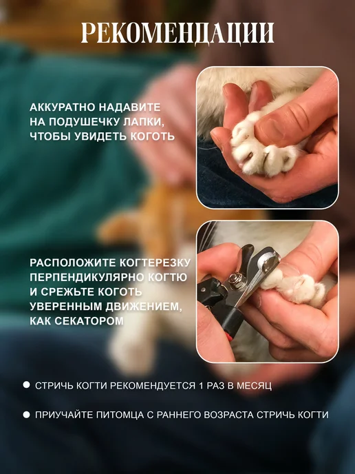 Когтерезка для кошек с ограничителем, ножницы для когтей, вариант, фото 4
