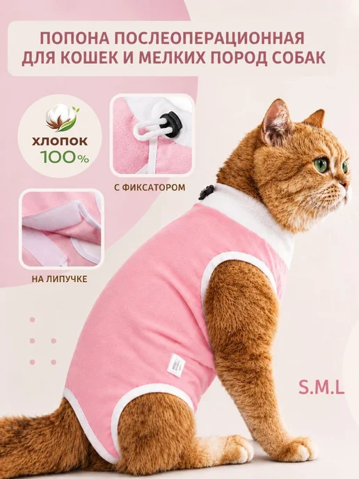 Попона для кошек послеоперационная, вариант