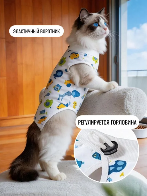 Попона для кошек послеоперационная, вариант, фото 3