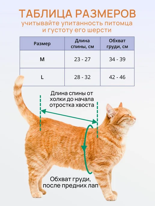 Попона для кошек послеоперационная, вариант, фото 6