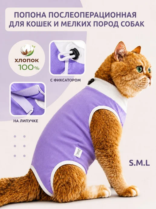 Попона для кошек послеоперационная, фиолетовый