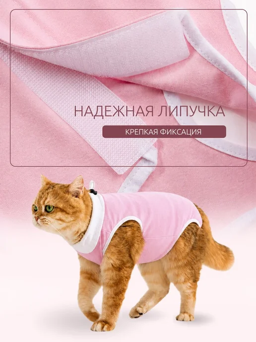 Попона для кошек послеоперационная, вариант, фото 3