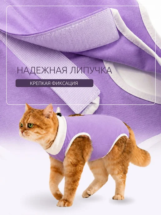 Попона для кошек послеоперационная, фиолетовый, фото 3