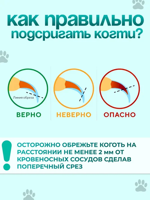 Когтерезка-ножницы для кошек с ограничителем, зеленый, фото 4
