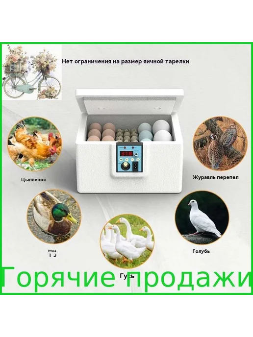Инкубатор для яиц, вариант, фото 6