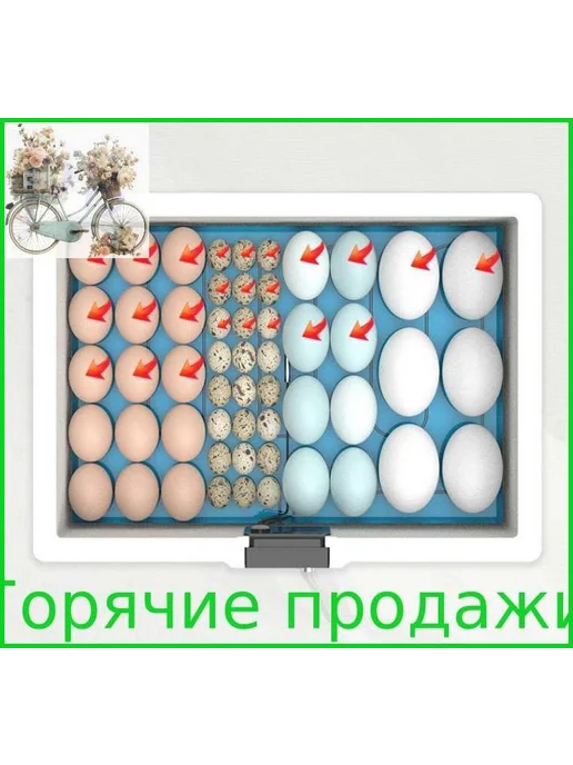 Инкубатор для яиц, вариант, фото 7