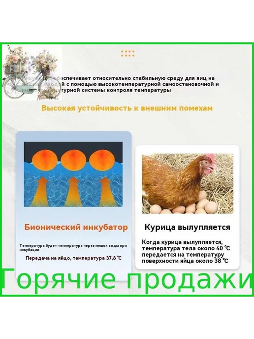 Инкубатор для яиц, вариант, фото 8