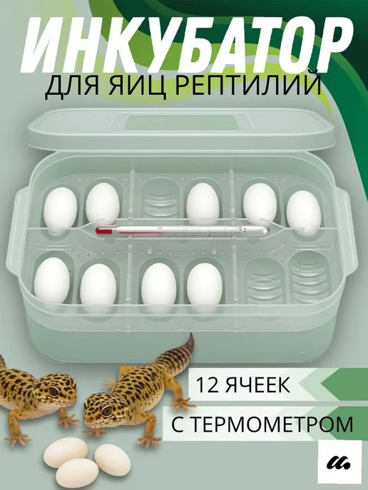 Инкубатор для рептилий 12 ячеек, вариант