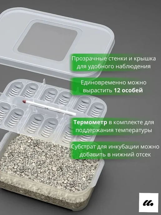 Инкубатор для рептилий 12 ячеек, вариант, фото 3