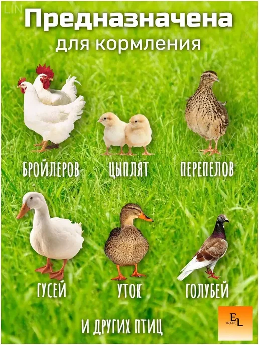 Вакуумная подвесная поилка для домашней птицы, 1.5 л, 1,5 л, фото 5