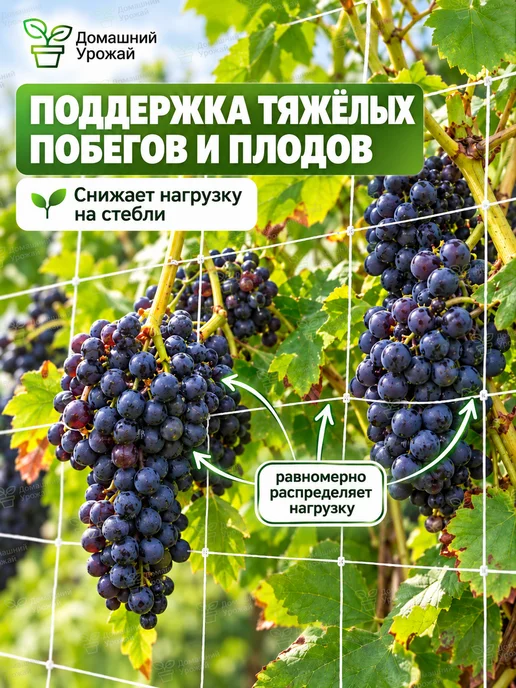 Домашний урожай Шпалерная садовая сетка Trellis Netting, белый, фото 2