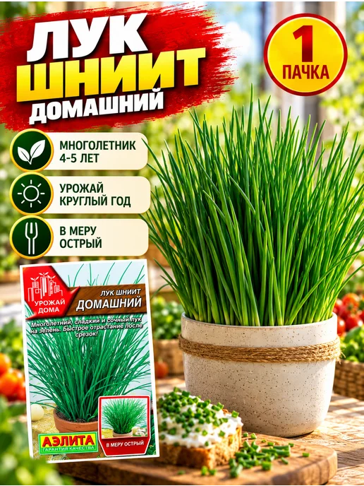 Аэлита Агрофирма Семена лук шнитт Домашний многолетний на зелень, зеленый