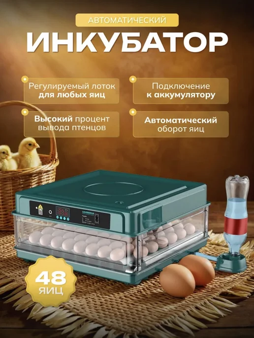Инкубатор автоматический на 48 яиц с овоскопом, зеленый, фото 2
