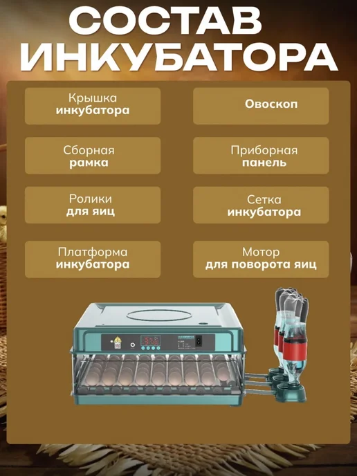 Инкубатор автоматический на 48 яиц с овоскопом, зеленый, фото 4