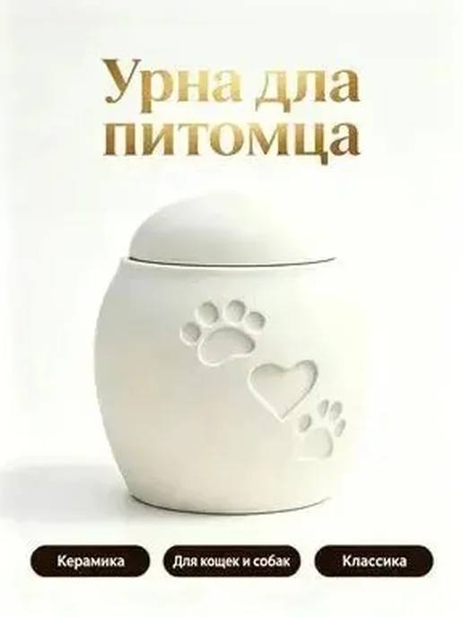 Контейнер для питомца 3D, вариант, фото 6