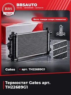 GATES Термостат арт. TH22689G1