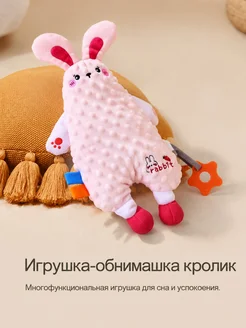Игрушки-обнимашки с грызунком