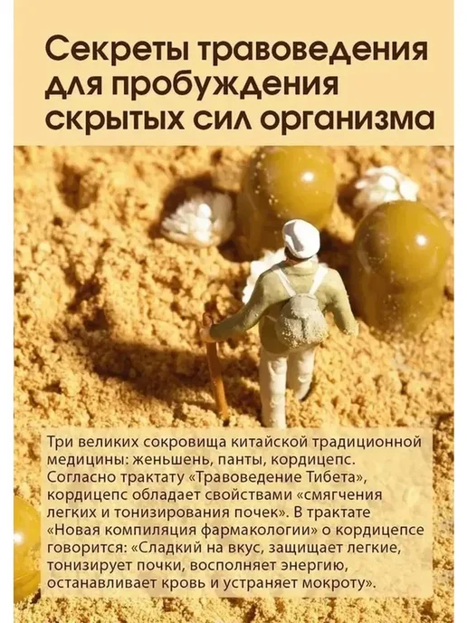 Капсулы с мицелием кордицепса Тяньши, 0.5 г × 100, 0,5 г, фото 4